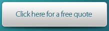 Free Web Development Quote